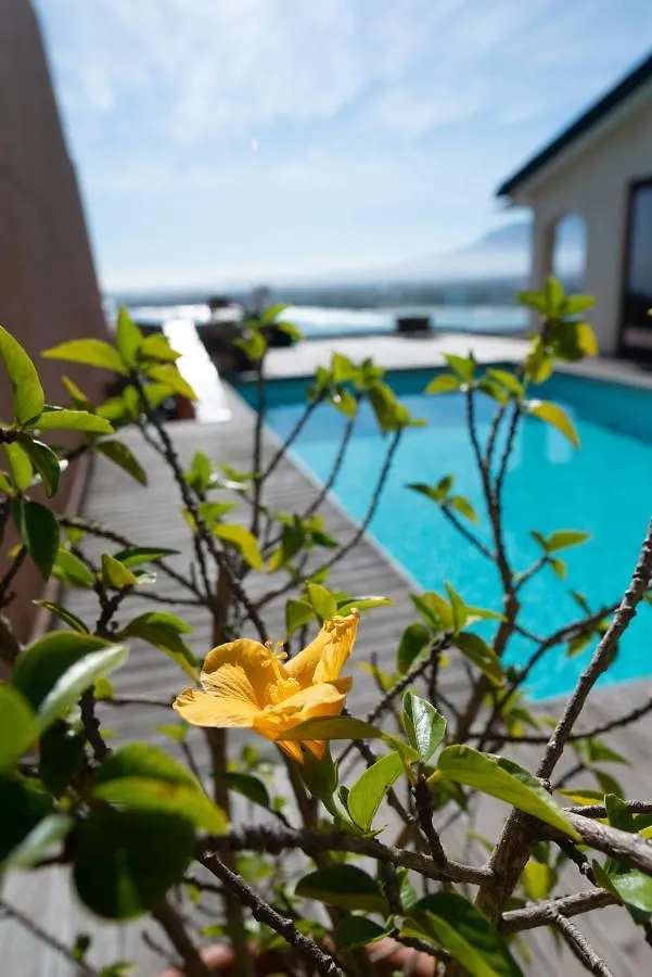 Apartment  Gordonʼs Bay